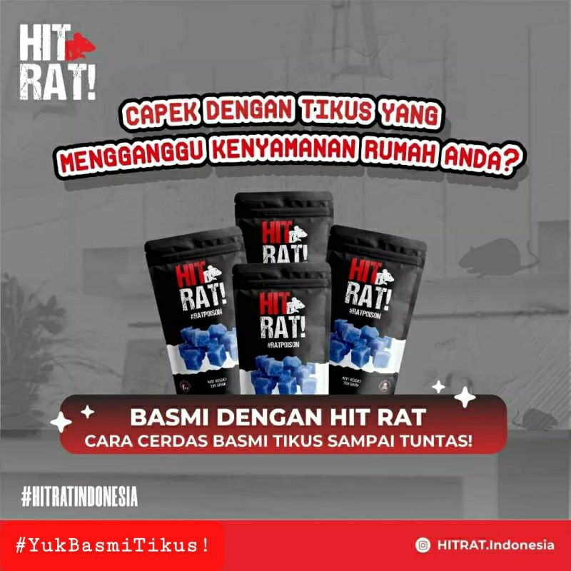 Jual PROMO!!! Racun Tikus HITRAT Kemasan Ekonomis 30 gr Pembasmi Tikus ...