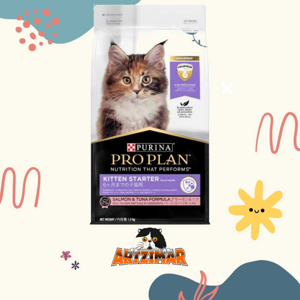 Pro plan 2024 kitten harga