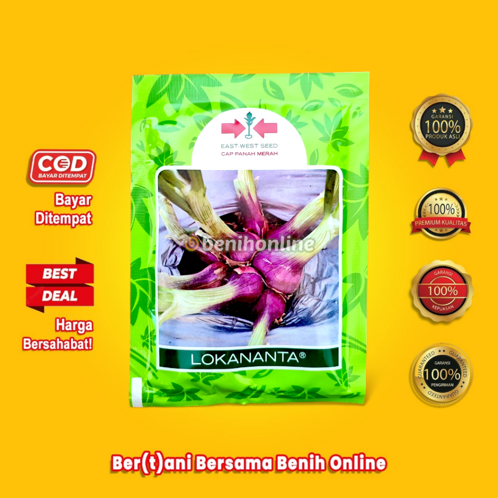 Jual BENIH BAWANG MERAH - LOKANANTA 10 GR - Cap Panah Merah - Bibit Tuk ...