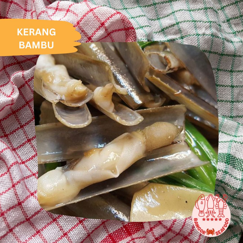 Jual BANGOR SEAFOOD KERANG BAMBU FRESH FROZEN 1KG Shopee Indonesia