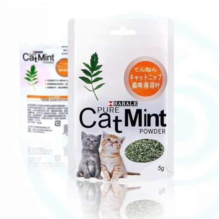 Jual Catnip catmint cat mint - PURE CATMINT POWDER - BIKIN FLY KUCING ...