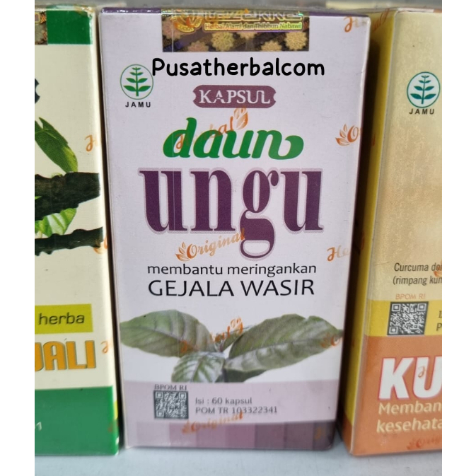 Jual Kapsul Daun Ungu Tazakka Obat Wasir Ampuh Hemoroid Herbal 60