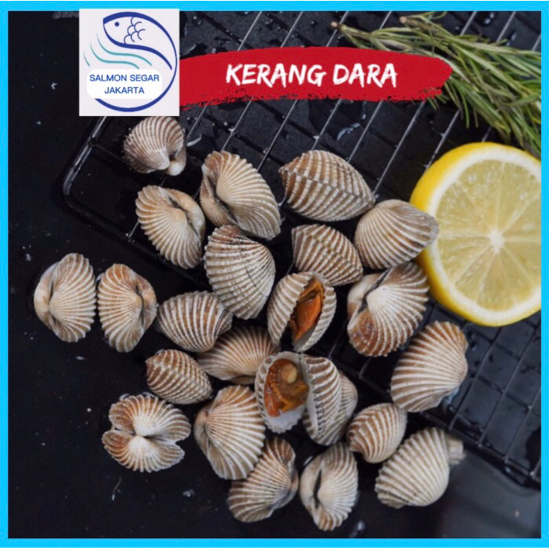 Jual Kerang Bulu Jumbo - Seafood Beku | Shopee Indonesia