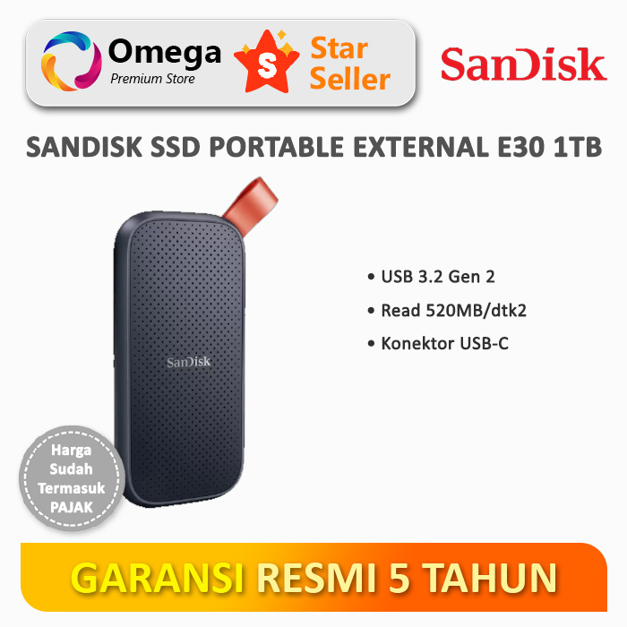最安値）SanDisk E30 外付けSSD 1TB USB Type-C 外付けSSD