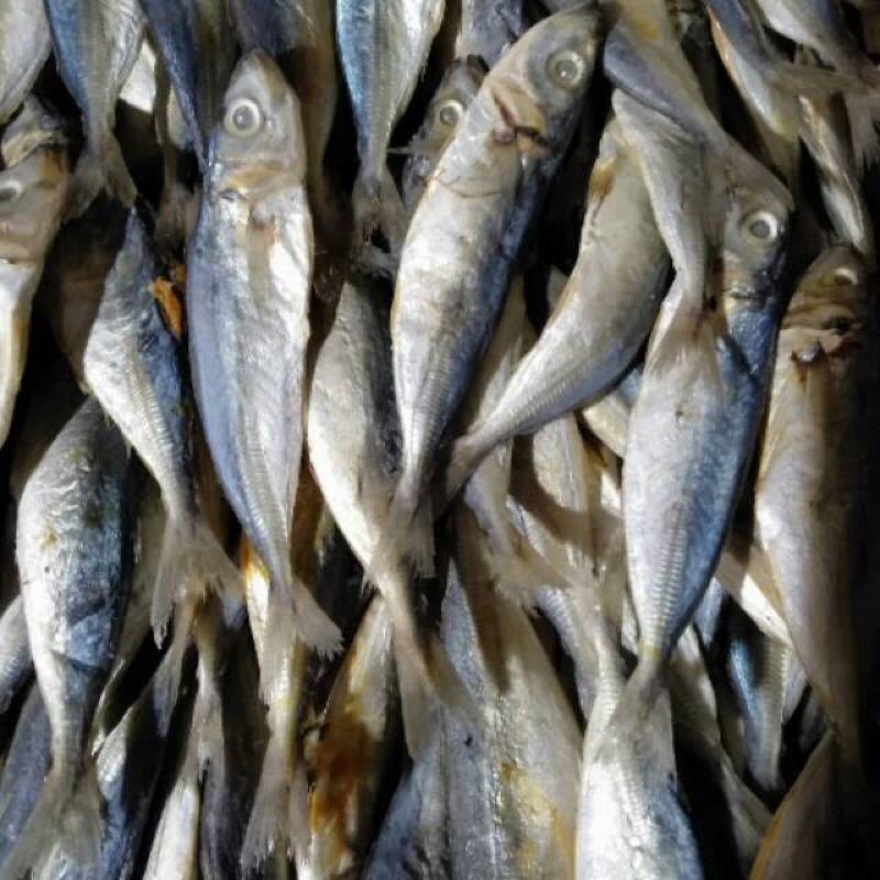 Jual Ikan Asin Pedo Japuh 1 Kg Grosir Termurah | Shopee Indonesia