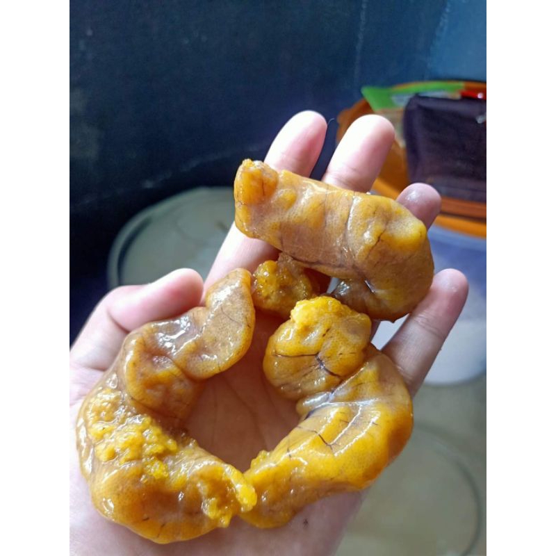 Jual TELUR IKAN BIAWAN/KAVIAR INDONESIA | Shopee Indonesia