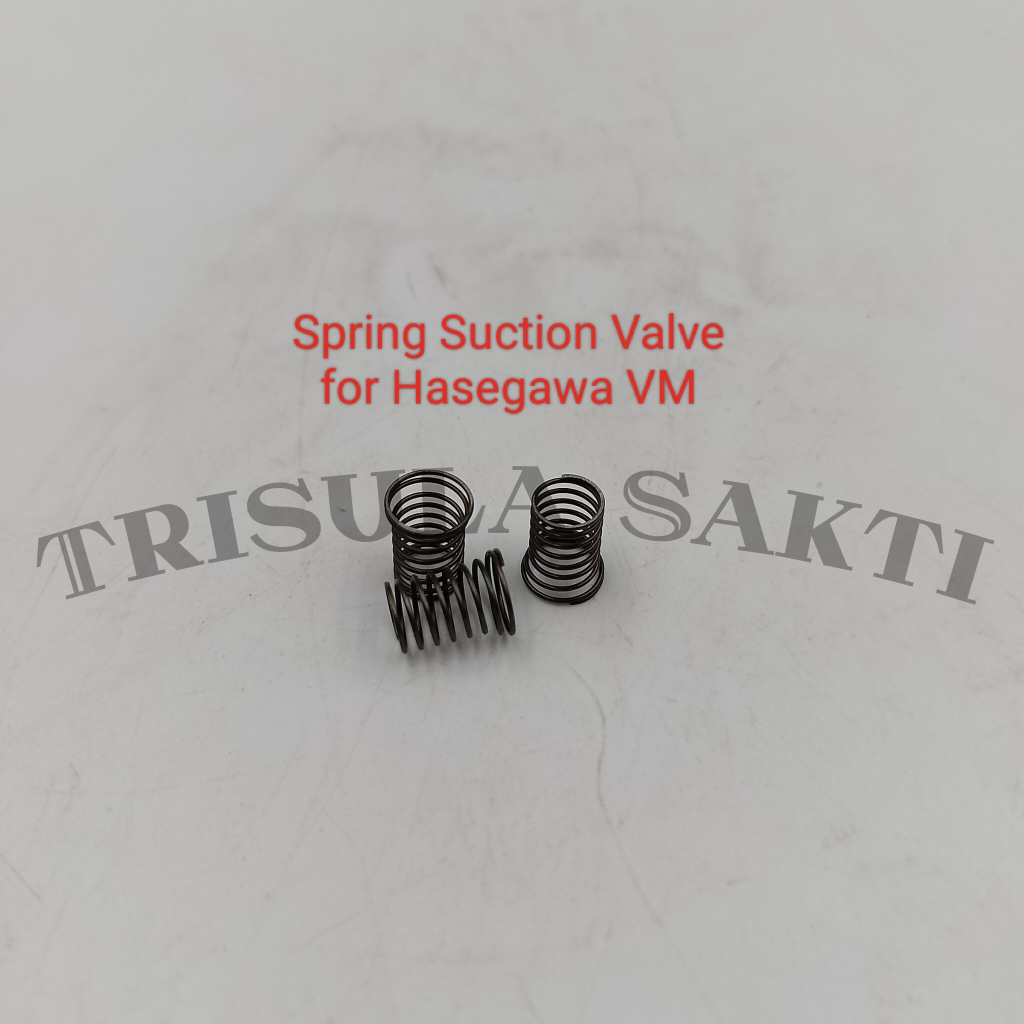 Jual Spring Suction Valve for Hasegawa VM | Shopee Indonesia