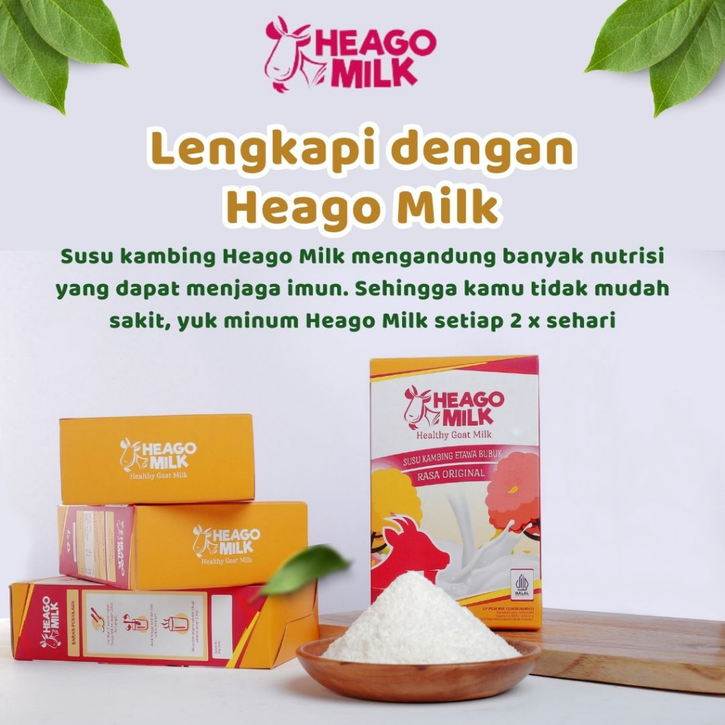 Jual Susu Kambing Etawa bantu Redakan Masalah Pernafasan, Persendian ...