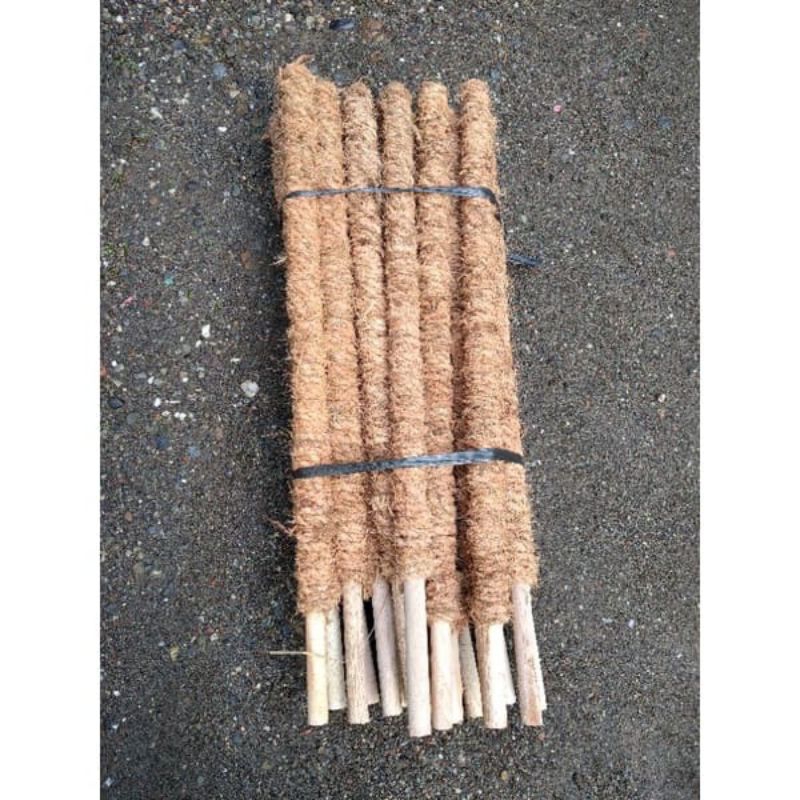 Jual TURUS SABUT KELAPA TURUS KAYU PENYANGGA TANAMAN 1 METER | Shopee ...