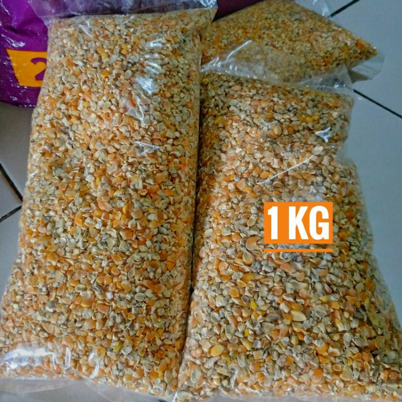 Jual Jagung Pecah Pakan Hewan Ternak Makanan Ayam Makanan Burung Dara Jagung Pecahan Shopee