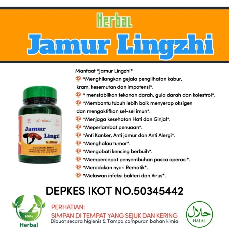 JAMUR LINGZHI kapsul herbal Tumor Kanker Setrok Anti Angin 100 kapsul