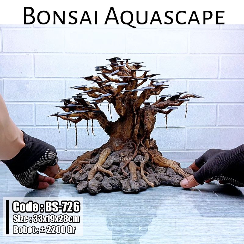 Special Bonsai Aquascape - Akar Senggani