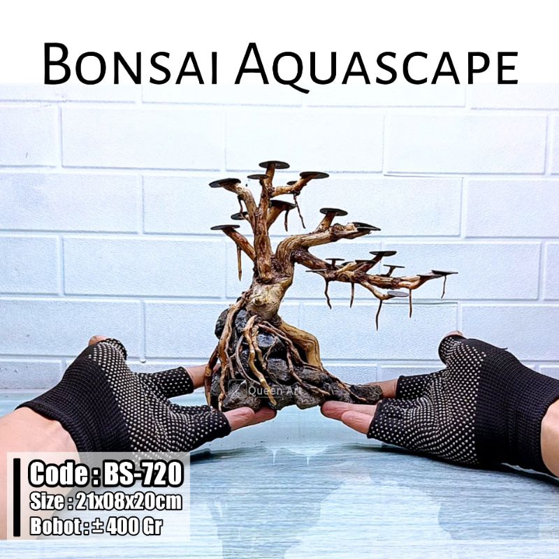 Jual Bonsai Aquascape Akar Senggani Hiasan Aquarium 6 Shopee Indonesia