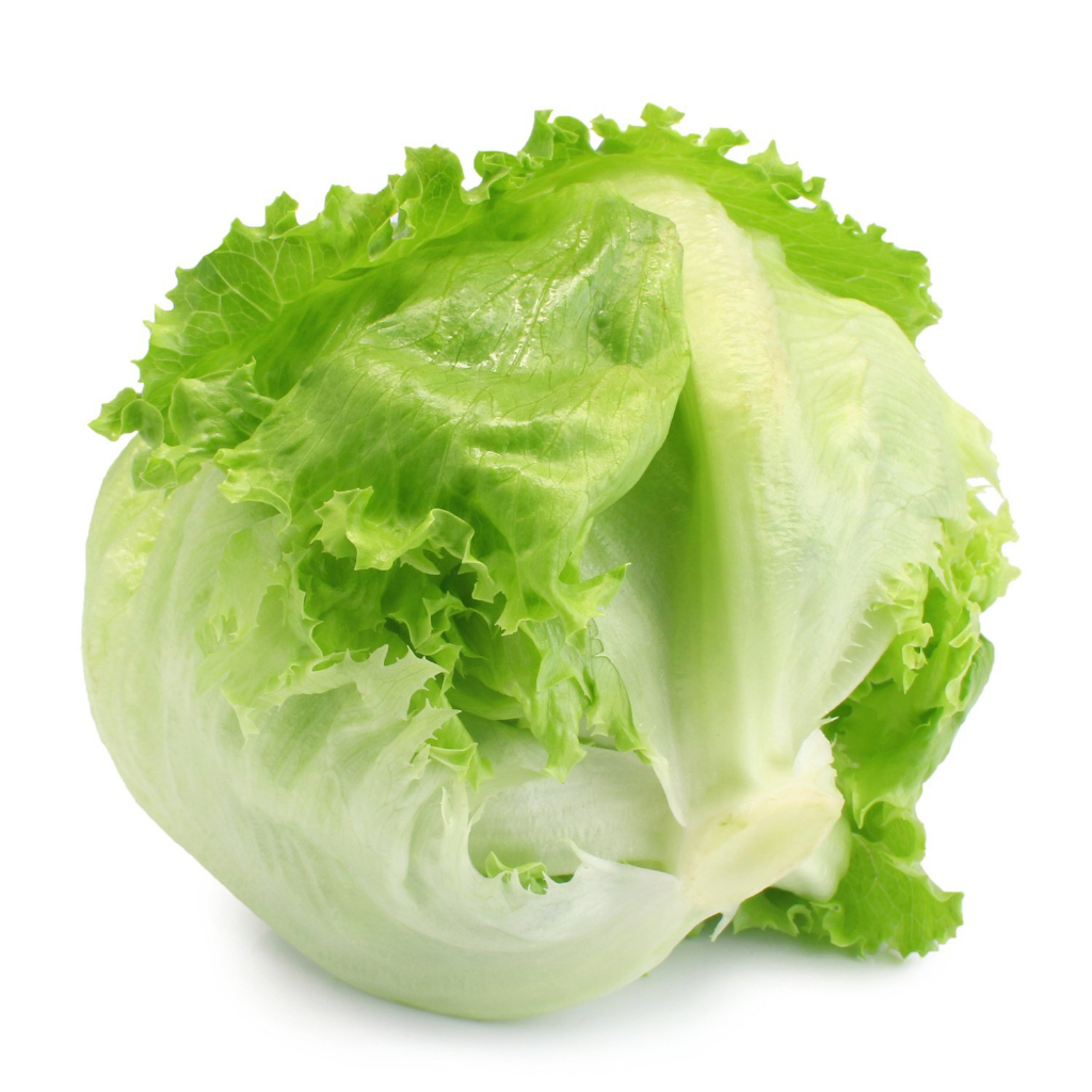 Jual Benih Sayur Selada Lettuce Iceberg Crisphead Common Repack Shopee Indonesia