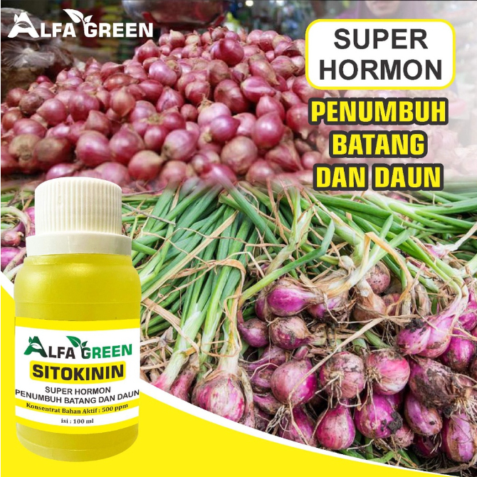 Jual Hormon Sitokinin (PUPUK perangsang tunas dan pembelahan sel ...