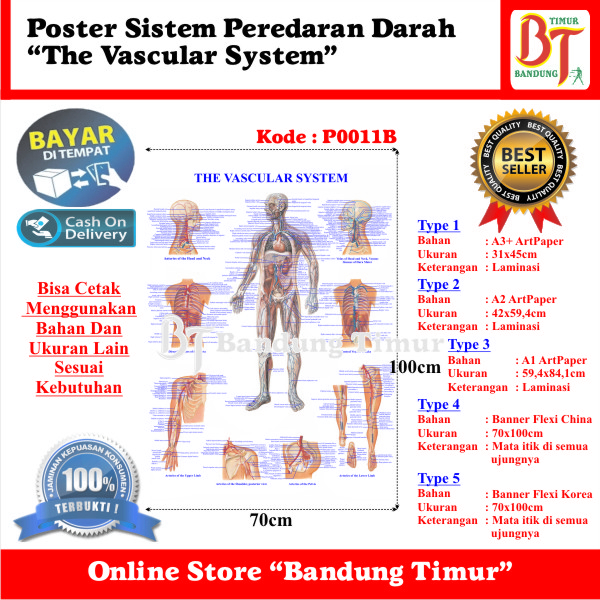 Jual Poster Sistem Peredaran Darah The Vascular System Shopee Indonesia 6209