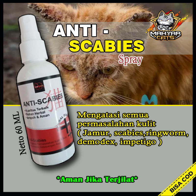 Jual Anti Scabies Obat Jamur Kucing Obat Kulit Scabies Demodex