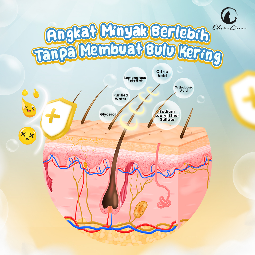 Gambar Produk 4