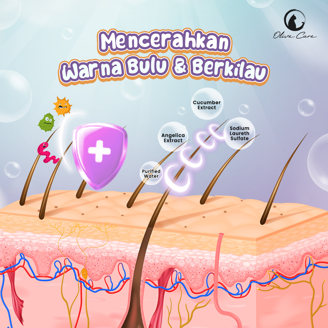 Gambar Produk 4