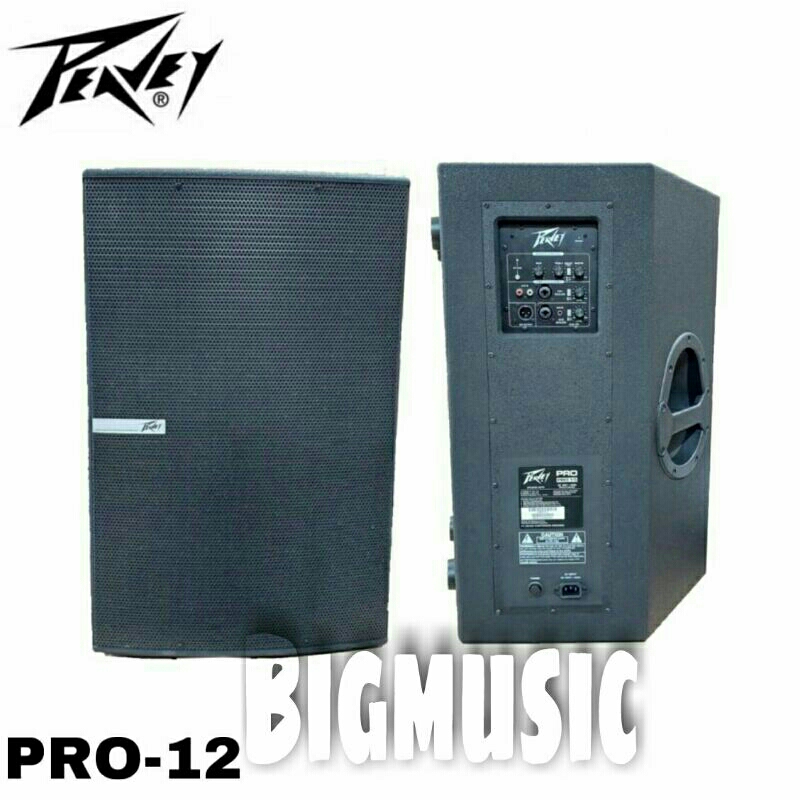 Peavey pro hot sale 12