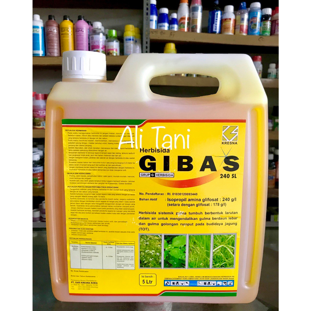 Jual Gibas 240 Sl Kemasan 5 Liter Herbisida Racun Rumput Sistemik