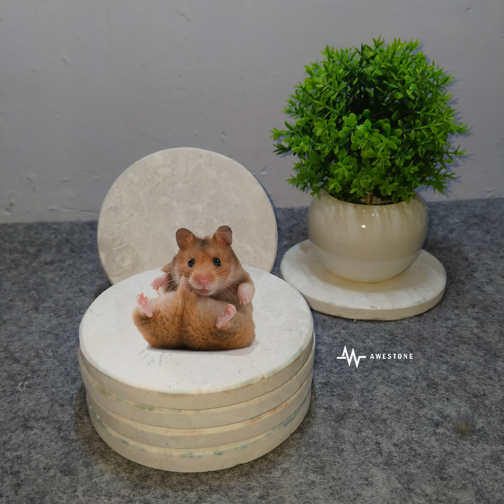 Jual Cooling Pad Hamster Lingkaran Diameter 10cm 100 Batu Alam