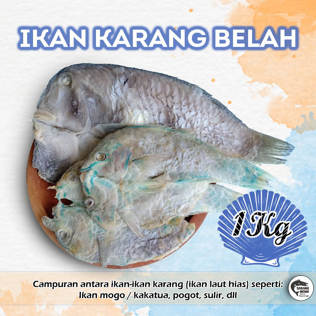 Jual IKAN ASIN KARANG BELAH IKAN KELING MOGO KAKATUA ASIN 1 KG