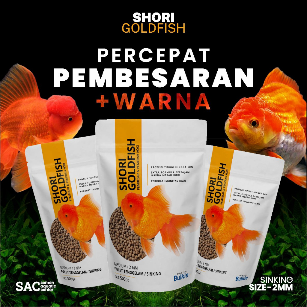 Pakan Terbaik untuk Warna Merah dan Putih Mas Koki