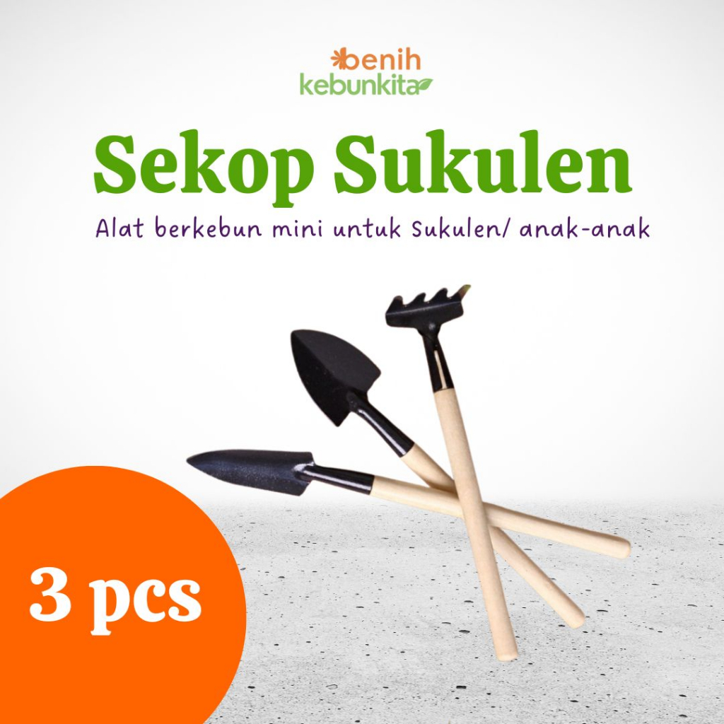 Jual Peralatan Berkebun Mini Sekop Set Sukulen Peralatan Cangkul Garden Ukuran Kecil Shopee