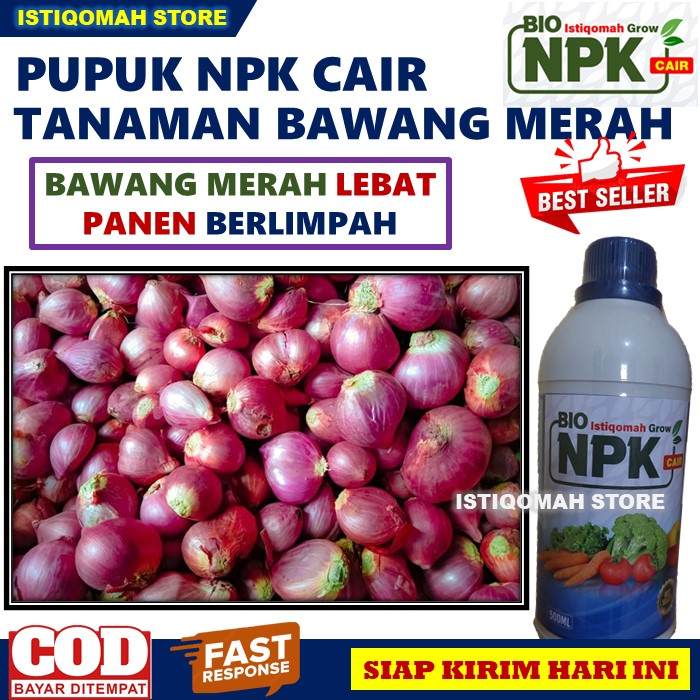 Jual Pupuk Penyubur Bawang Merah Lebat Panen Berlimpah Istiqomah Grow 500ml Pupuk Npk Cair Untuk 5130