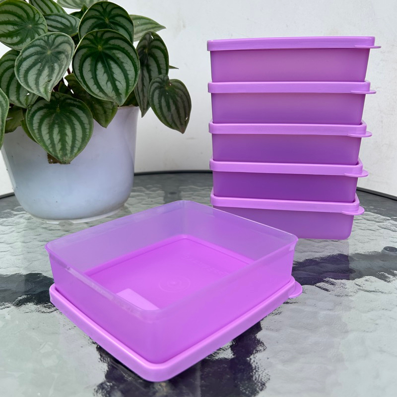 Jual Kotak makan polos Tupperware | Shopee Indonesia