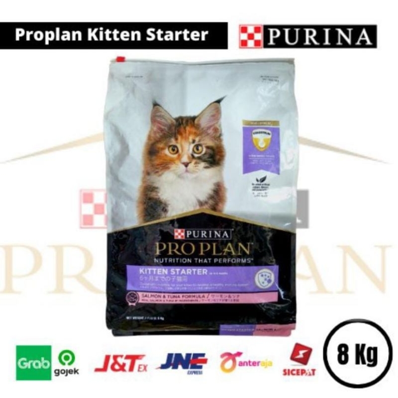 Jual Proplan kitten 7kg makanan anak kucing proplan Shopee Indonesia