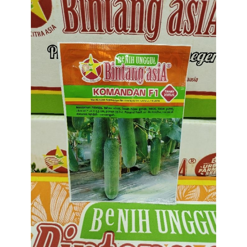 Jual Benih Mentimun Timun KOMANDAN F1 10 Gram Cap Bintang Asia PT Benih ...