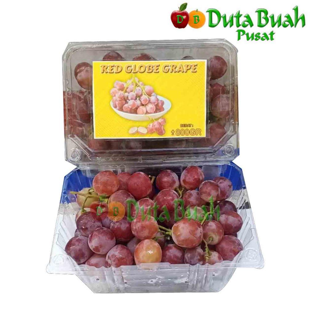 Jual DUTA BUAH ANGGUR RED GLOBE (+-800GRAM) | Shopee Indonesia