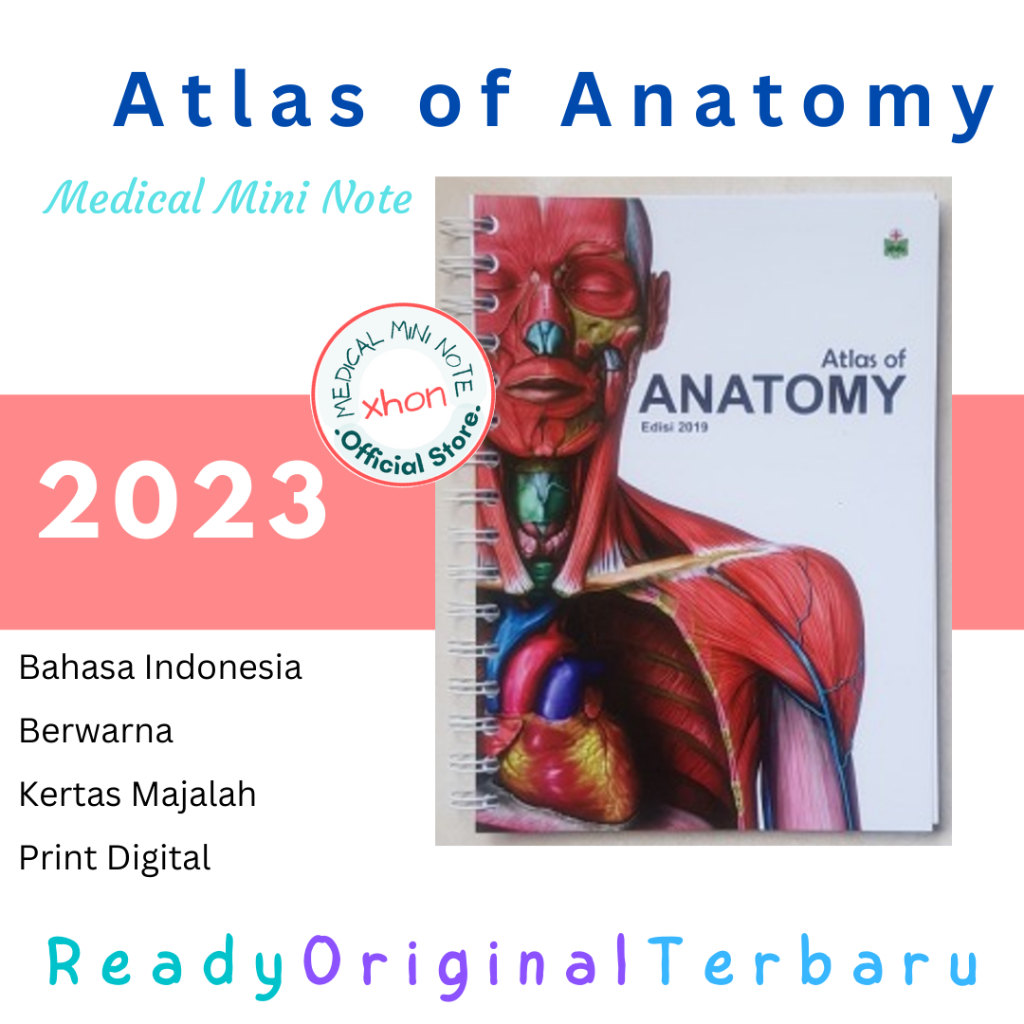 Jual ORIGINAL TERBARU Atlas Of Anatomy | MMN / Medical Mini Note ...