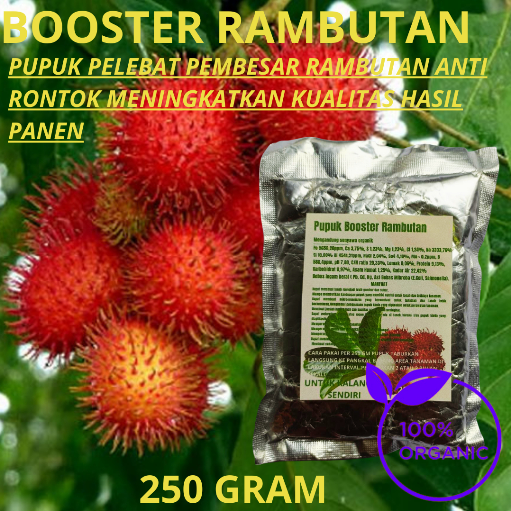 Jual Pupuk Booster Buah Rambutan Pupuk Pelebat Rambutan Perangsang Buah Serbuk Terbaik Agar