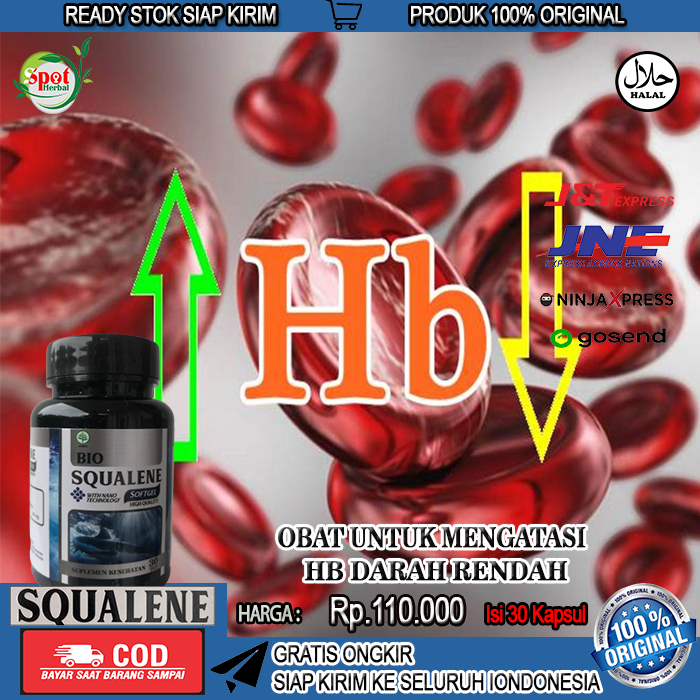 Jual Obat Meningkatkan HB, Hemoglobin, Sel Darah Rendah, Obat ...