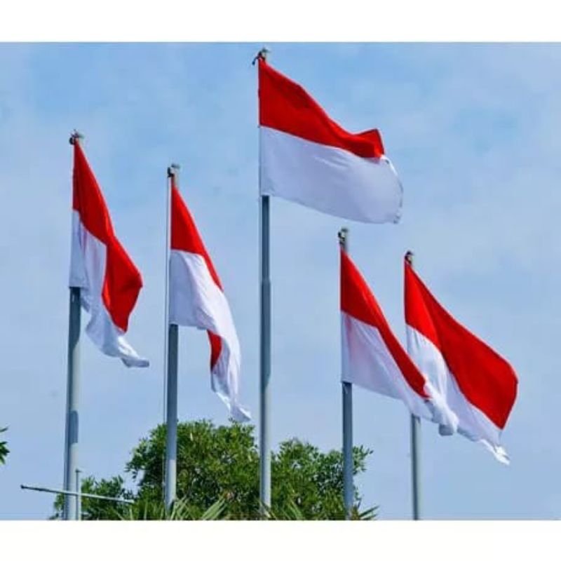 Jual Bendera Merah Putih 90x60 Isi 20pcs Real 80x50 Shopee Indonesia 5177