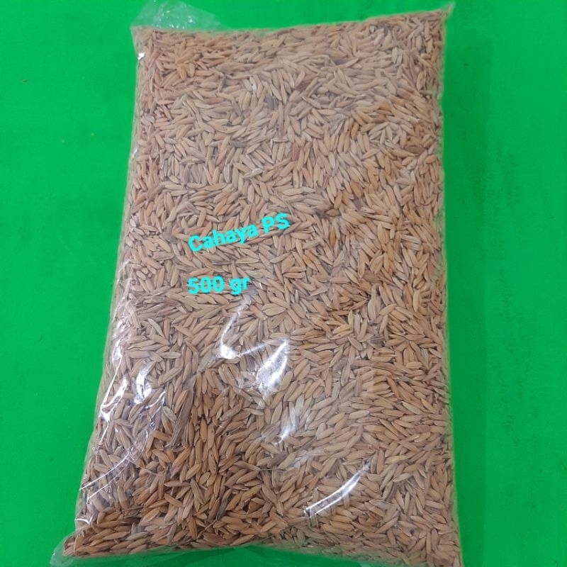 Jual Padi Ayam Beras Merah Repack 500 Gr Shopee Indonesia