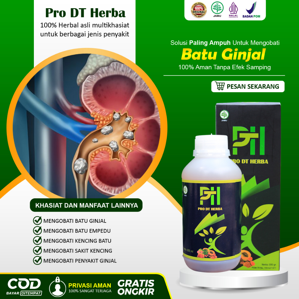 Jual Obat Batu Ginjal Paling Ampuh Tanpa Operasi, Penghancur Batu ...