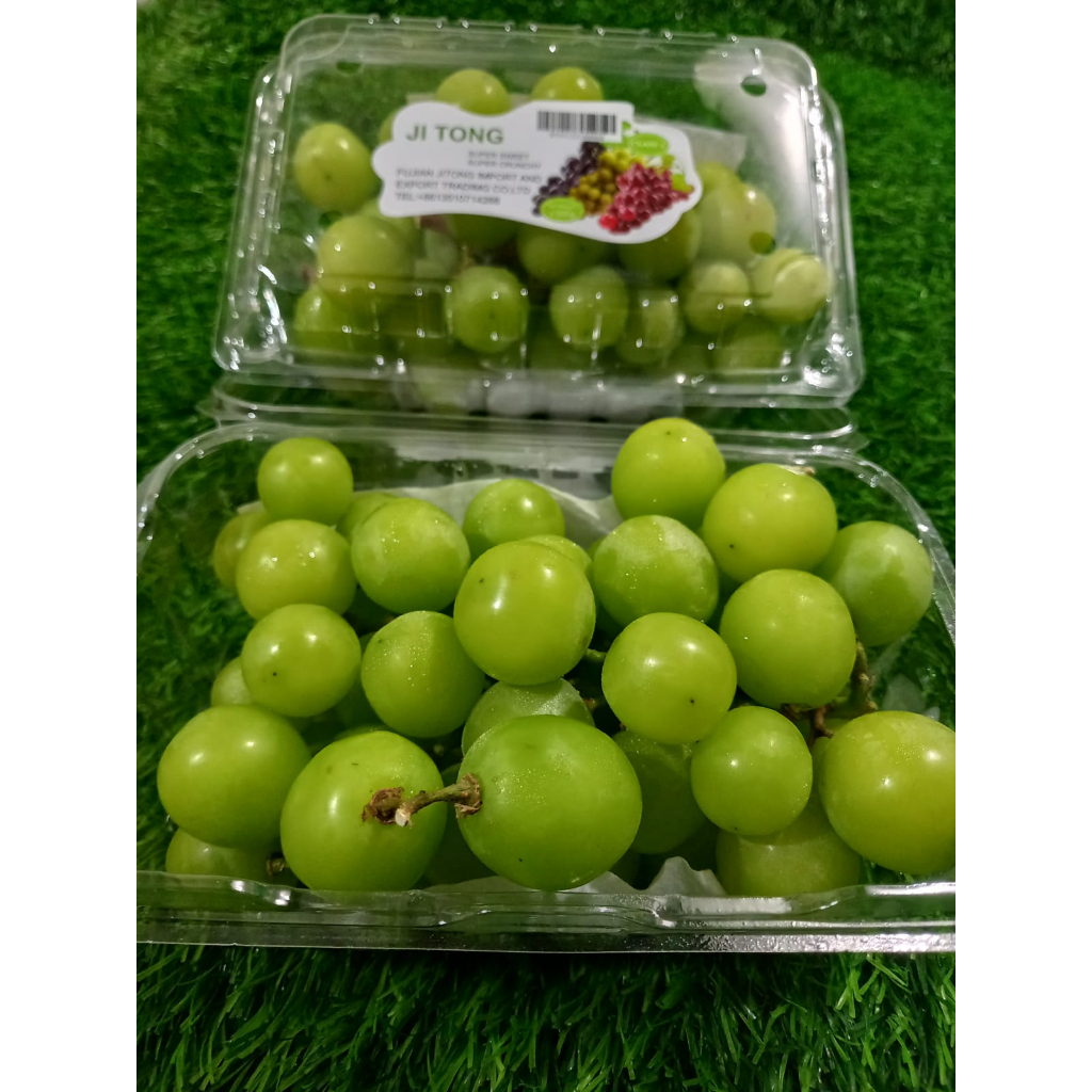 Jual ANGGUR SHINE MUSCAT BOX 500G / ANGGUR TERBAIK Shopee Indonesia