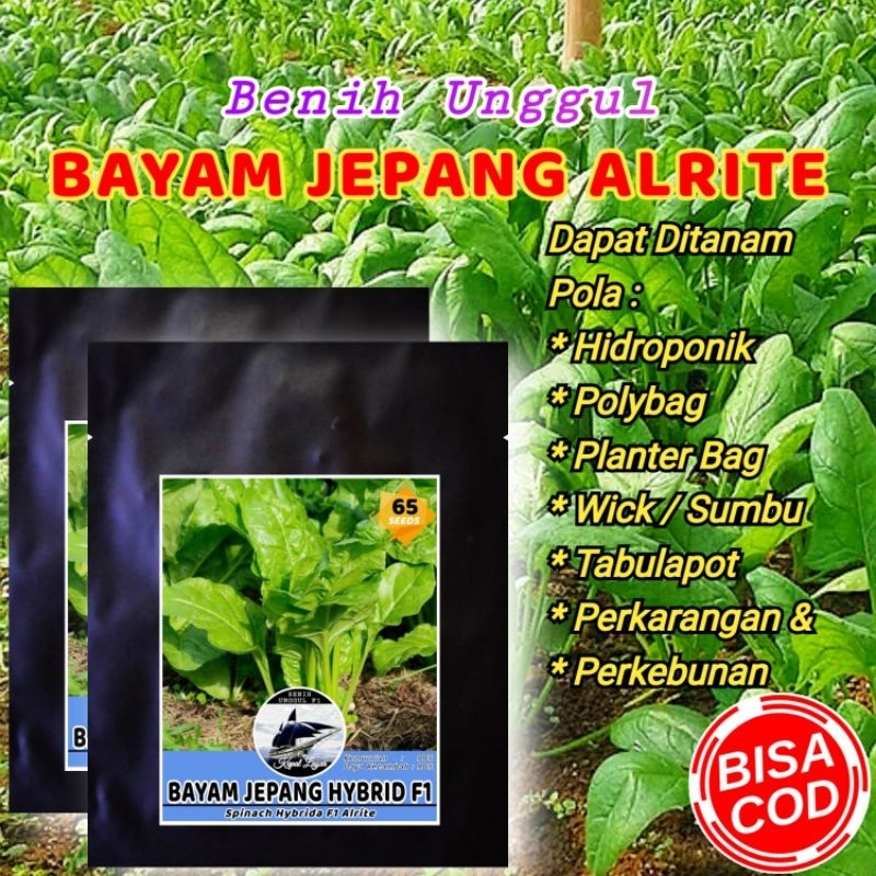 Jual BENIH BAYAM JEPANG HORENSO F1 UNGGUL | Shopee Indonesia