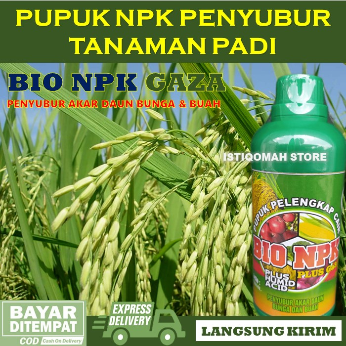 Jual Pupuk Penyubur Akar Dan Daun Padi Terbaik BIO NPK GAZA 500ML Pupuk ...