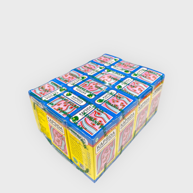 Jual Kapsida 1 Pak Isi 12 Botol | Shopee Indonesia
