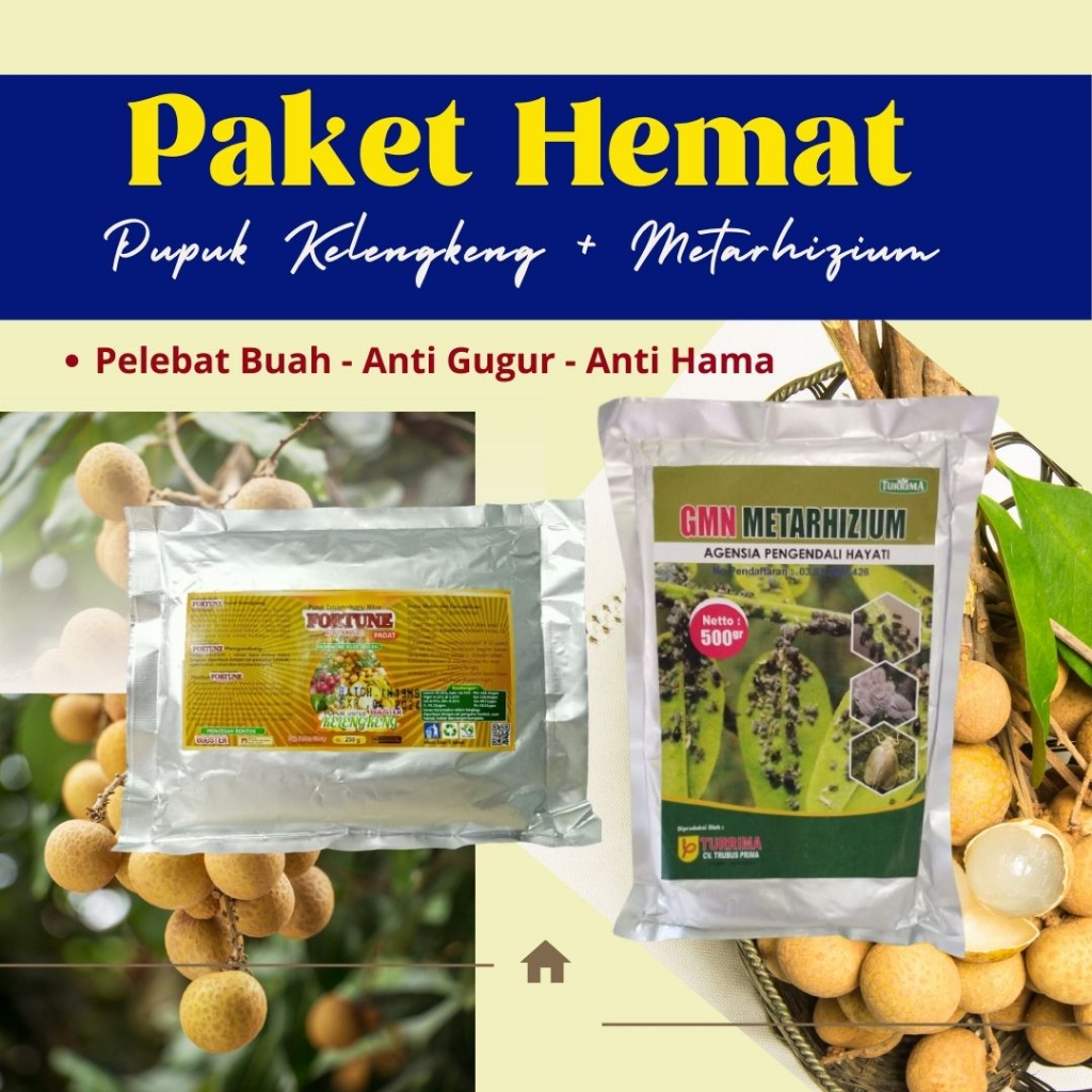 Jual Booster Kelengkeng pupuk Pemacu Bunga Kelengkeng, Insektisida Obat