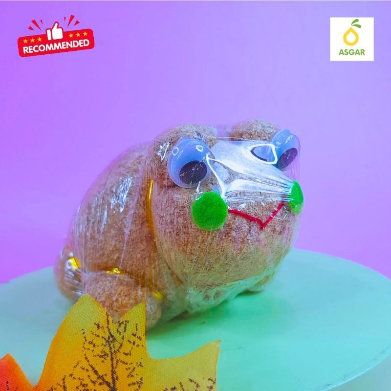 Jual Kado Hadiah Ulang Tahun Boneka Horta Mini Boneka Edukasi Bisa ...