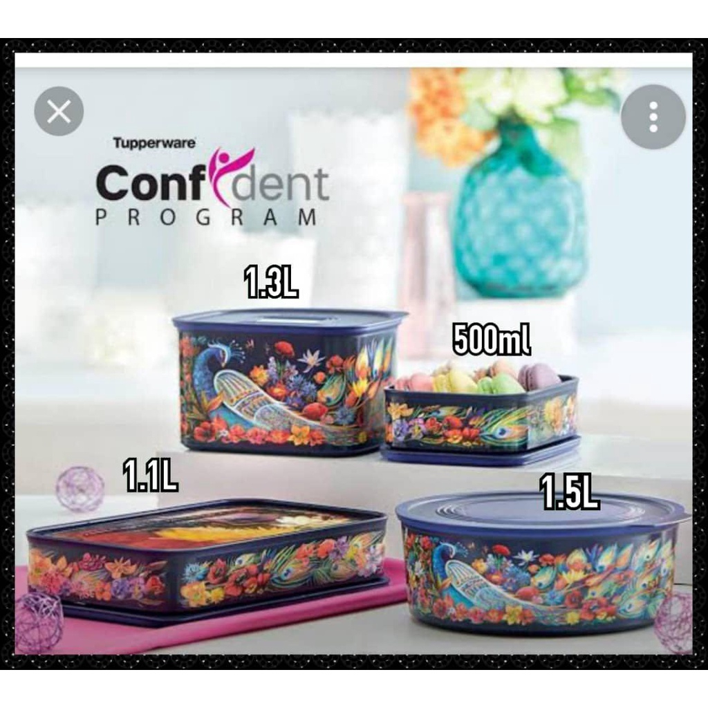 Jual tupperware baseline merak toples kotak bekal limeted edition ...