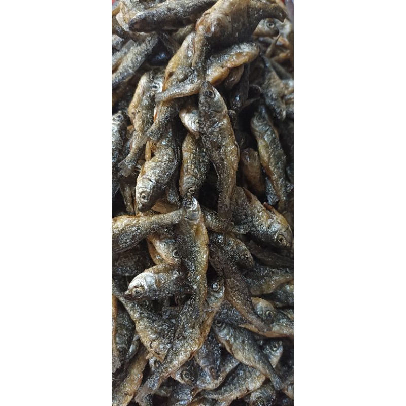 Jual Ikan Bilih/Bilih medan/kualitas super/ukurannya sama rata | Shopee ...