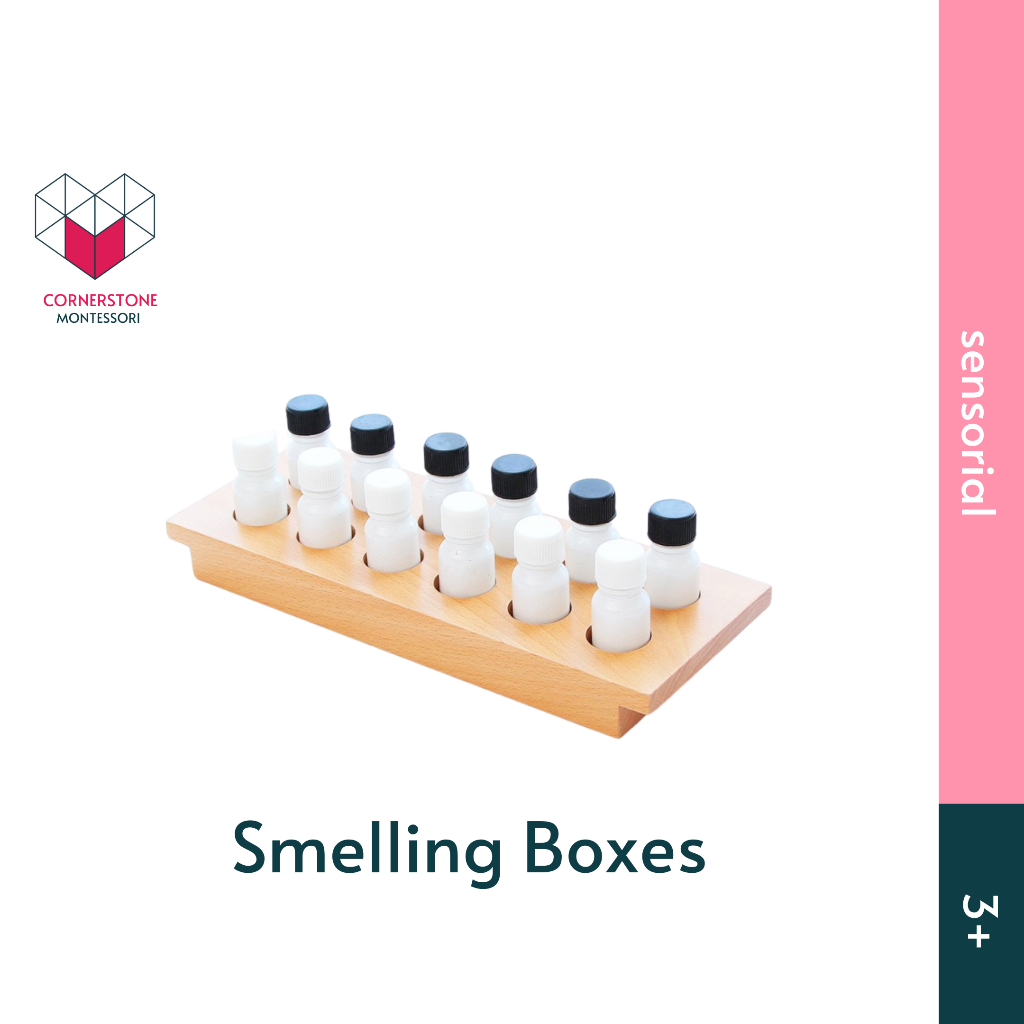 Jual Cornerstone Montessori Smelling Boxes - Montesori Sensorial ...