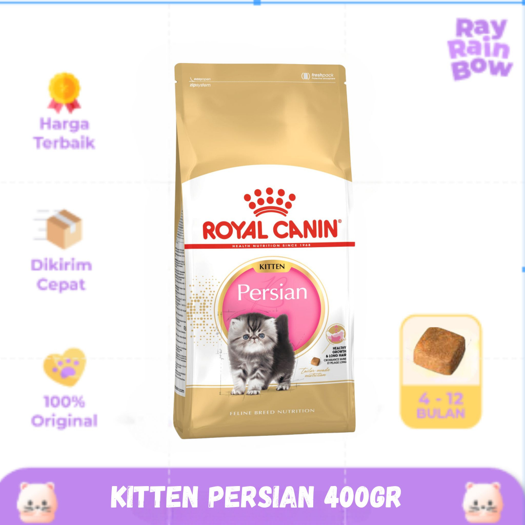 Harga royal best sale canin persian kitten